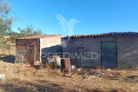 Terra a Nisa, Portalegre, Nisa - € 20.000 | Ref: 055396 - foto 20