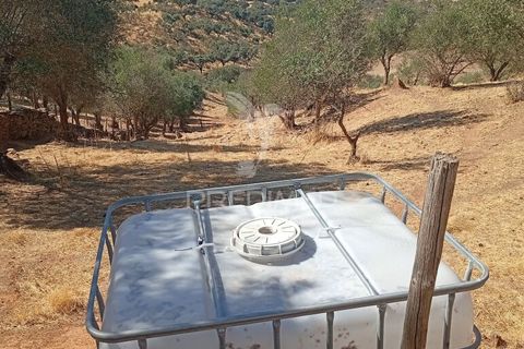 Terra a Vila Vicosa, Evora, Vila Vicosa - € 16.000 | Ref: 055451 - foto 2