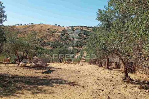 Terra a Vila Vicosa, Evora, Vila Vicosa - € 16.000 | Ref: 055451 - foto 4
