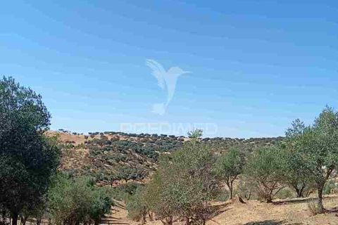 Terra a Vila Vicosa, Evora, Vila Vicosa - € 16.000 | Ref: 055451 - foto 6