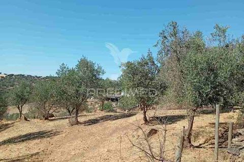 Terra a Vila Vicosa, Evora, Vila Vicosa - € 16.000 | Ref: 055451 - foto 7