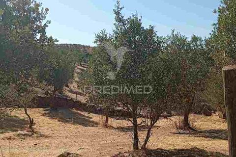 Terra a Vila Vicosa, Evora, Vila Vicosa - € 16.000 | Ref: 055451 - foto 8