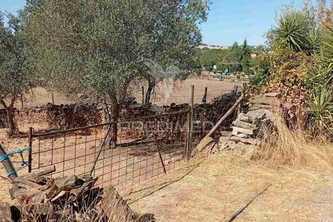 Terra a Vila Vicosa, Evora, Vila Vicosa - € 16.000 | Ref: 055451 - foto 9