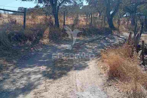 Terra a Vila Vicosa, Evora, Vila Vicosa - € 16.000 | Ref: 055451 - foto 10