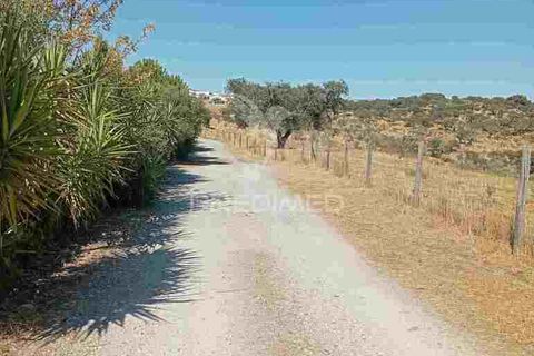 Terra a Vila Vicosa, Evora, Vila Vicosa - € 16.000 | Ref: 055451 - foto 11