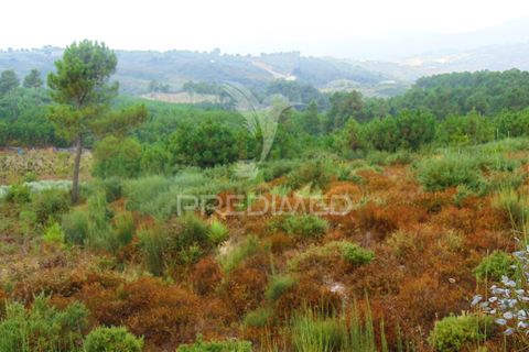 Helårsgrund i Vila Real, Vila Real, Vila Real - € 55.000 | Ref: 055659 - foto 5