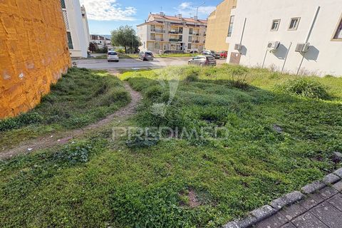Terra a Constancia, Santarem, Constancia - € 87.000 | Ref: 055660 - foto 2
