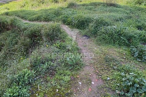 Terra a Constancia, Santarem, Constancia - € 87.000 | Ref: 055660 - foto 3