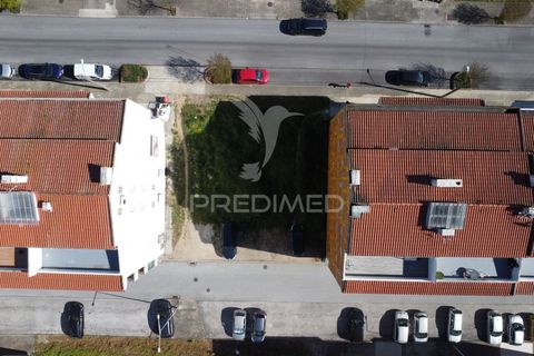 Terra a Constancia, Santarem, Constancia - € 87.000 | Ref: 055660 - foto 5