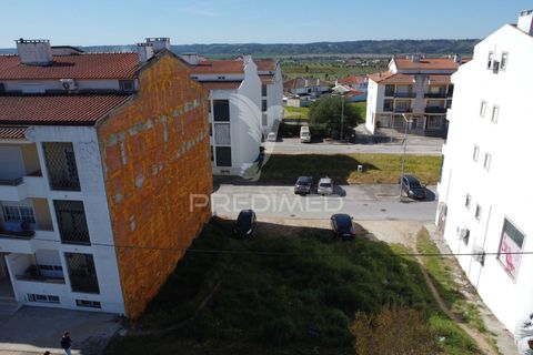 Terra a Constancia, Santarem, Constancia - € 87.000 | Ref: 055660 - foto 7