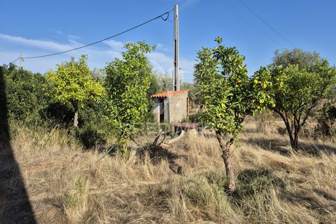 Terra a Vila Vicosa, Evora, Vila Vicosa - € 89.000 | Ref: 055675 - foto 2