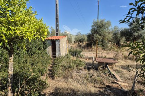 Terra a Vila Vicosa, Evora, Vila Vicosa - € 89.000 | Ref: 055675 - foto 3