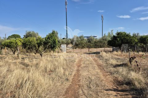 Terra a Vila Vicosa, Evora, Vila Vicosa - € 89.000 | Ref: 055675 - foto 4