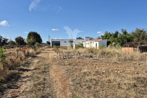 Terra a Vila Vicosa, Evora, Vila Vicosa - € 89.000 | Ref: 055675 - foto 5
