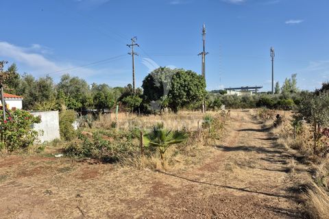 Terra a Vila Vicosa, Evora, Vila Vicosa - € 89.000 | Ref: 055675 - foto 6