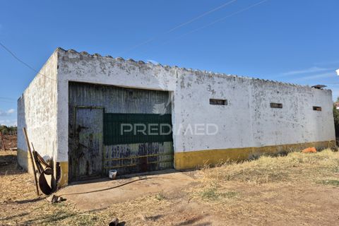 Terra a Vila Vicosa, Evora, Vila Vicosa - € 89.000 | Ref: 055675 - foto 8