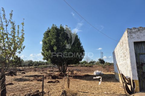Terra a Vila Vicosa, Evora, Vila Vicosa - € 89.000 | Ref: 055675 - foto 9
