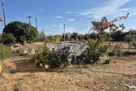 Terra a Vila Vicosa, Evora, Vila Vicosa - € 89.000 | Ref: 055675 - foto 10