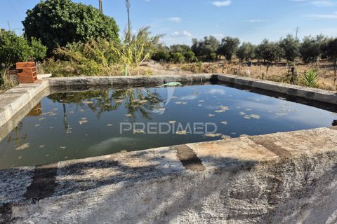 Terra a Vila Vicosa, Evora, Vila Vicosa - € 89.000 | Ref: 055675 - foto 11