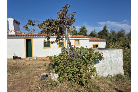 Terra a Vila Vicosa, Evora, Vila Vicosa - € 89.000 | Ref: 055675 - foto 12