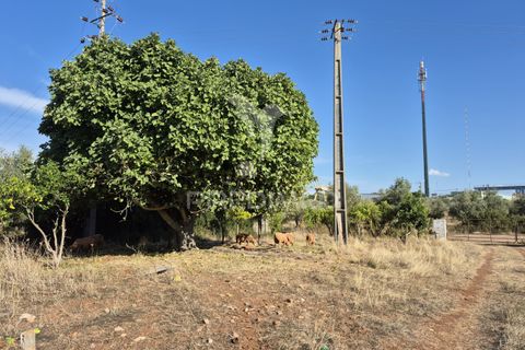 Terra a Vila Vicosa, Evora, Vila Vicosa - € 89.000 | Ref: 055675 - foto 23