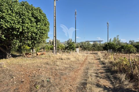 Terra a Vila Vicosa, Evora, Vila Vicosa - € 89.000 | Ref: 055675 - foto 24