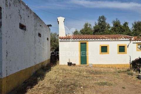 Terra a Vila Vicosa, Evora, Vila Vicosa - € 89.000 | Ref: 055675 - foto 30