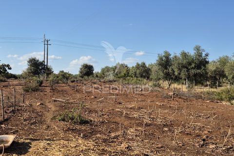 Terra a Vila Vicosa, Evora, Vila Vicosa - € 89.000 | Ref: 055675 - foto 31