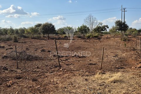 Terra a Vila Vicosa, Evora, Vila Vicosa - € 89.000 | Ref: 055675 - foto 32