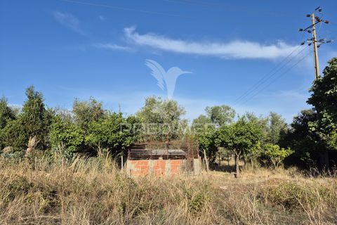 Terra a Vila Vicosa, Evora, Vila Vicosa - € 89.000 | Ref: 055675 - foto 33