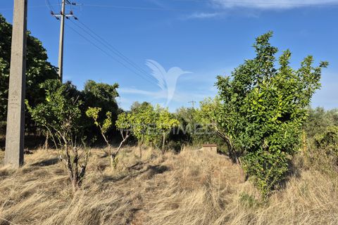 Terra a Vila Vicosa, Evora, Vila Vicosa - € 89.000 | Ref: 055675 - foto 35