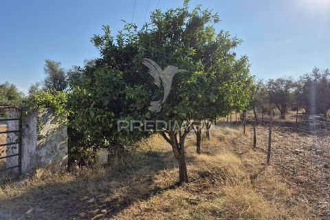 Terra a Vila Vicosa, Evora, Vila Vicosa - € 89.000 | Ref: 055675 - foto 36