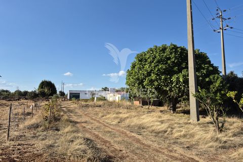 Terra a Vila Vicosa, Evora, Vila Vicosa - € 89.000 | Ref: 055675 - foto 37