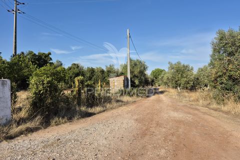 Terra a Vila Vicosa, Evora, Vila Vicosa - € 89.000 | Ref: 055675 - foto 38