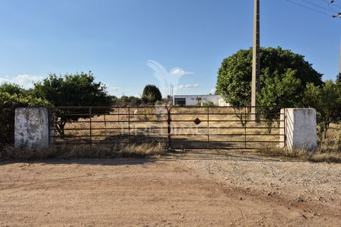 Terra a Vila Vicosa, Evora, Vila Vicosa - € 89.000 | Ref: 055675 - foto 39