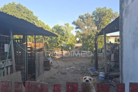 Byhus i Alpiarca, Santarem, Alpiarca - € 175.000 | Ref: 055747 - foto 17