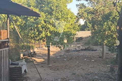 Byhus i Alpiarca, Santarem, Alpiarca - € 175.000 | Ref: 055747 - foto 18