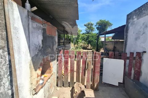 Stadthaus in Alpiarca, Santarem, Alpiarca - € 180.000 | Ref: 055747 - Foto 22