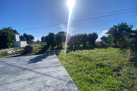 Byhus i Calheta, Sao Jorge, Calheta - € 225.000 | Ref: 056051 - foto 9