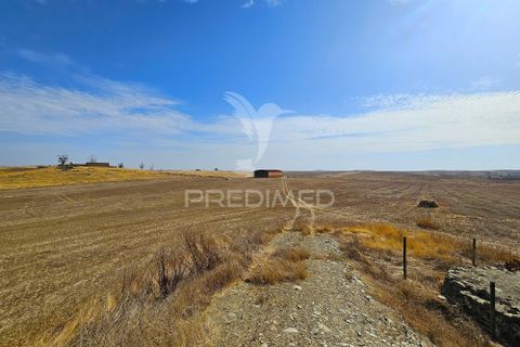 Byhus i Castro Verde, Beja, Castro Verde - € 860.000 | Ref: 056145 - foto 35