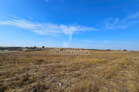 Byhus i Castro Verde, Beja, Castro Verde - € 860.000 | Ref: 056145 - foto 37
