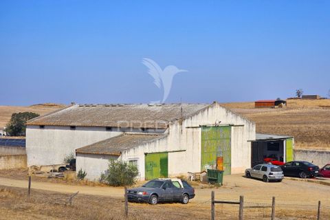 Byhus i Castro Verde, Beja, Castro Verde - € 860.000 | Ref: 056145 - foto 38