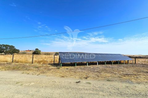 Byhus i Castro Verde, Beja, Castro Verde - € 860.000 | Ref: 056145 - foto 39