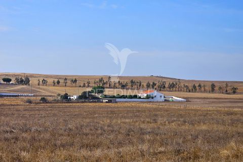 Byhus i Castro Verde, Beja, Castro Verde - € 860.000 | Ref: 056145 - foto 40