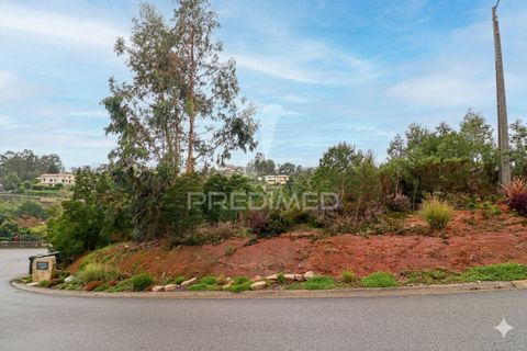 Helårsgrund i Agueda, Aveiro, Agueda - € 190.000 | Ref: 056173 - foto 1