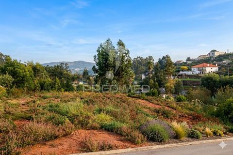 Helårsgrund i Agueda, Aveiro, Agueda - € 190.000 | Ref: 056173 - foto 2