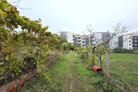 Helårsgrund i Entroncamento, Santarem, Entroncamento - € 690.000 | Ref: 056380 - foto 9