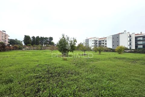 Helårsgrund i Entroncamento, Santarem, Entroncamento - € 690.000 | Ref: 056380 - foto 10