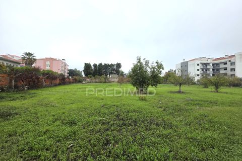 Helårsgrund i Entroncamento, Santarem, Entroncamento - € 690.000 | Ref: 056380 - foto 12