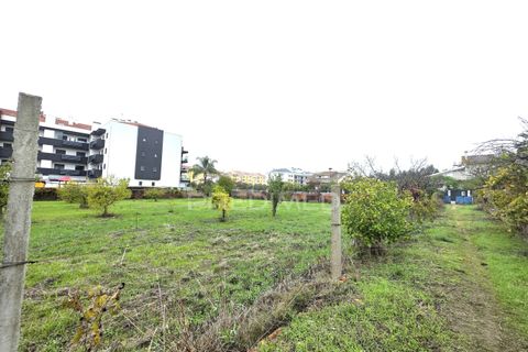 Helårsgrund i Entroncamento, Santarem, Entroncamento - € 690.000 | Ref: 056380 - foto 14